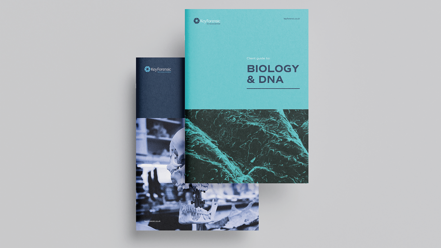 Key Forensics brochure