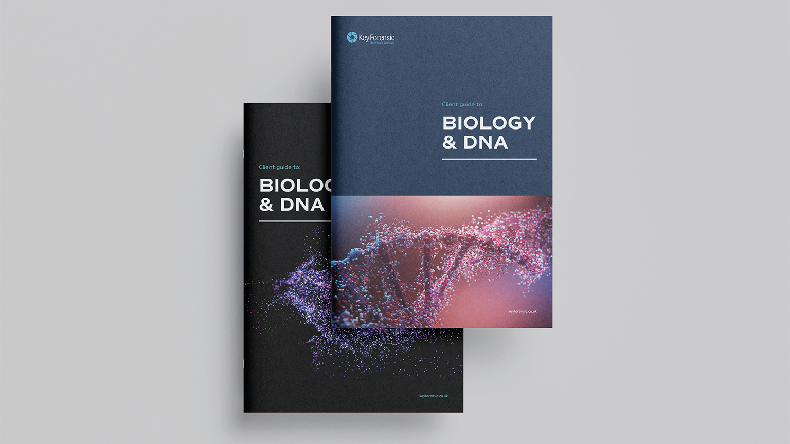 Key Forensics brochure