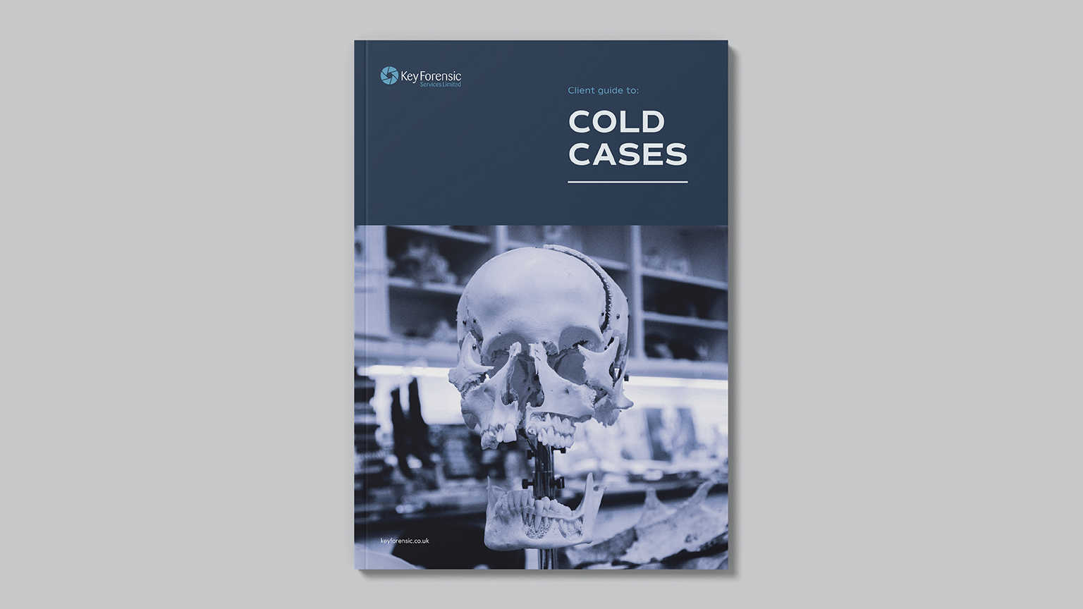 Key Forensics brochure