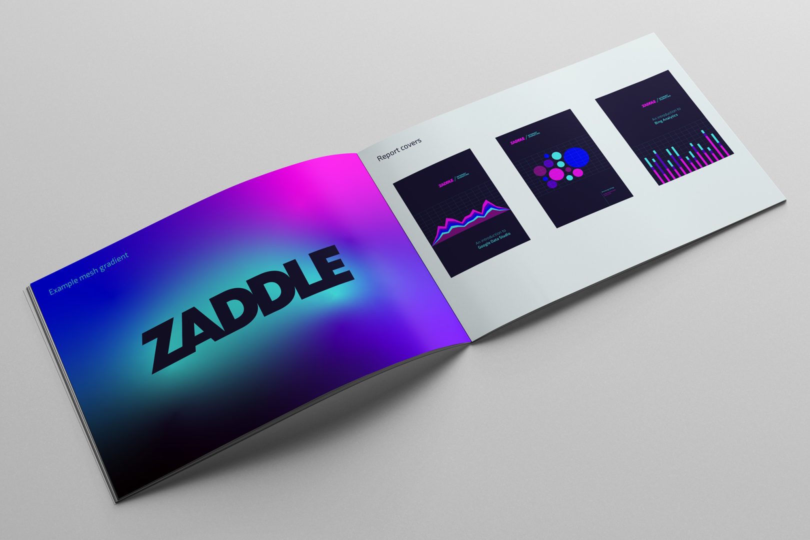 Rebranding Zaddle Internet Marketing - Brand Guidelines